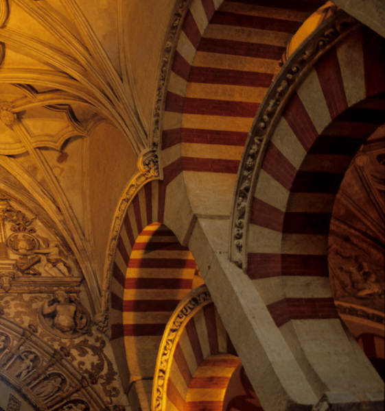 22.jpg (56754 �o�C�g)