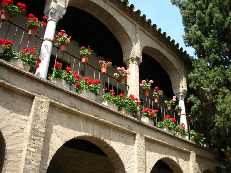 24.jpg (111545 �o�C�g)