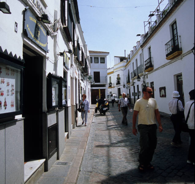 25.jpg (67297 �o�C�g)