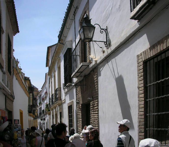 26.jpg (71261 �o�C�g)