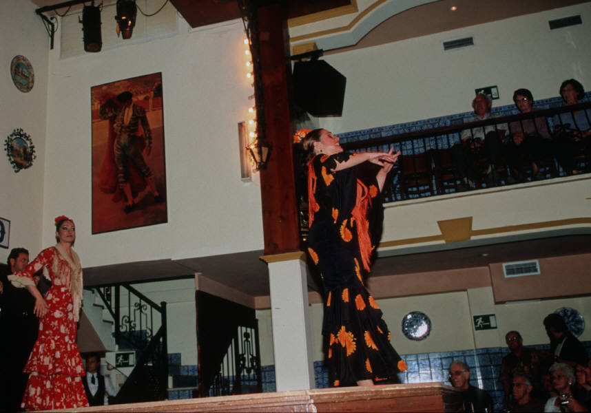 31.jpg (72317 �o�C�g)