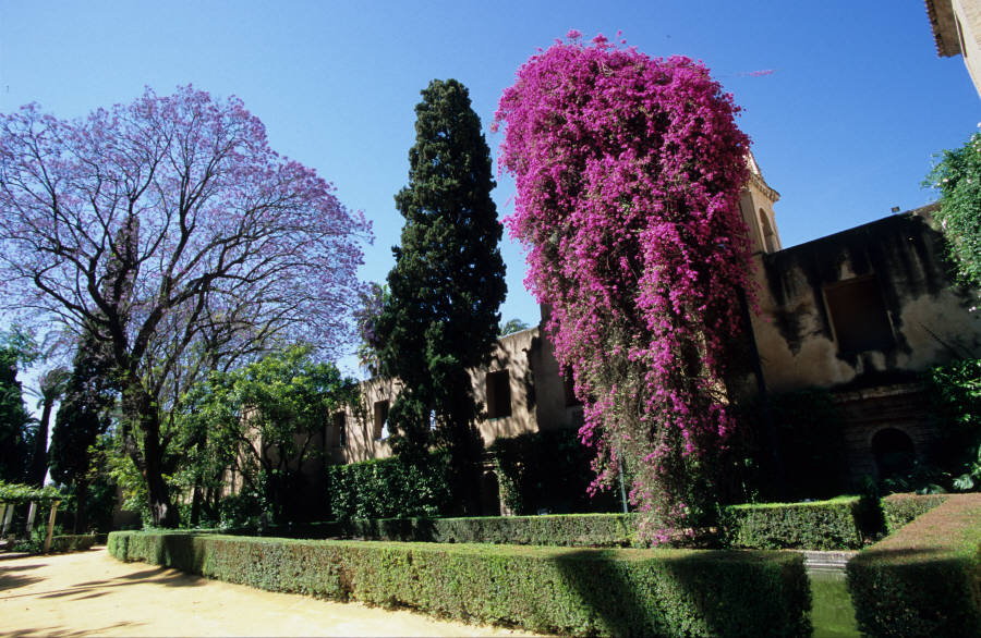 31_2.jpg (143851 �o�C�g)