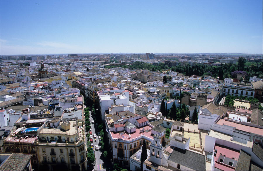 38.jpg (116492 �o�C�g)